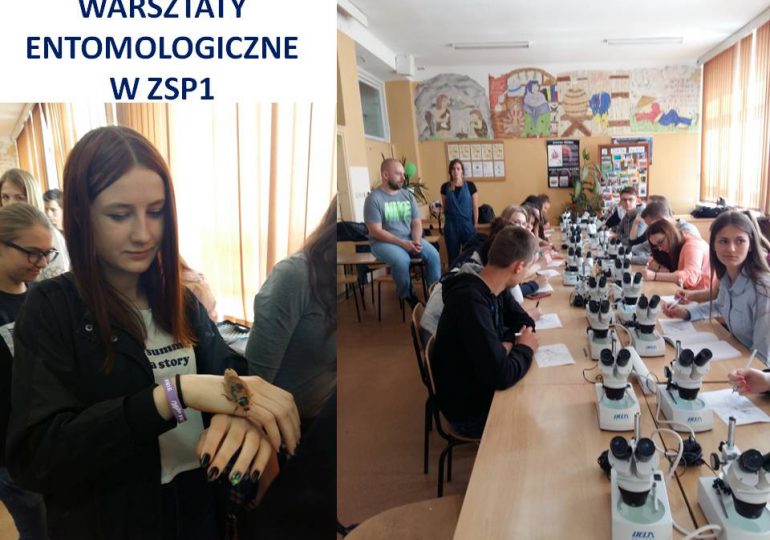 Warsztaty entomologiczne z zagranicznym akcentem.