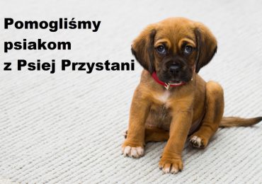 Pomagamy Przytulisku "Psia Przystań”