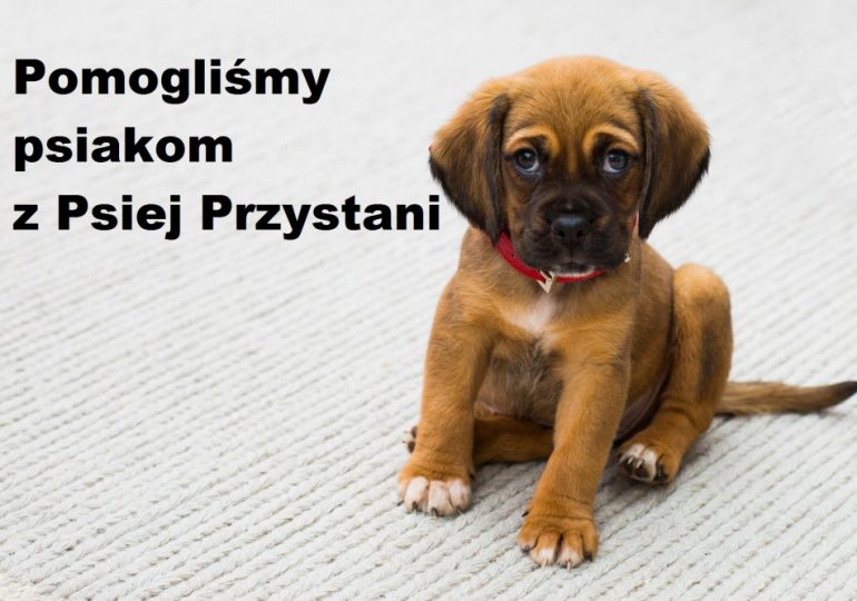 Pomagamy Przytulisku "Psia Przystań”