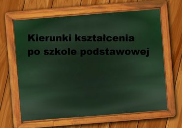 Propozycje kierunków kształcenia dla uczniów po szkołach podstawowych w roku szkolnym 2019/2020