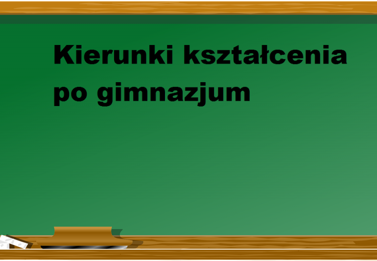 Propozycje kierunków kształcenia dla uczniów po szkołach gimnazjalnych w roku szkolnym 2019/2020