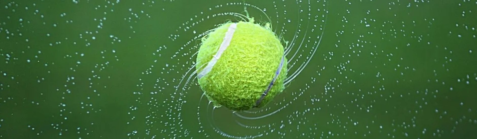Plebiscyt Sportowiec Roku 2020