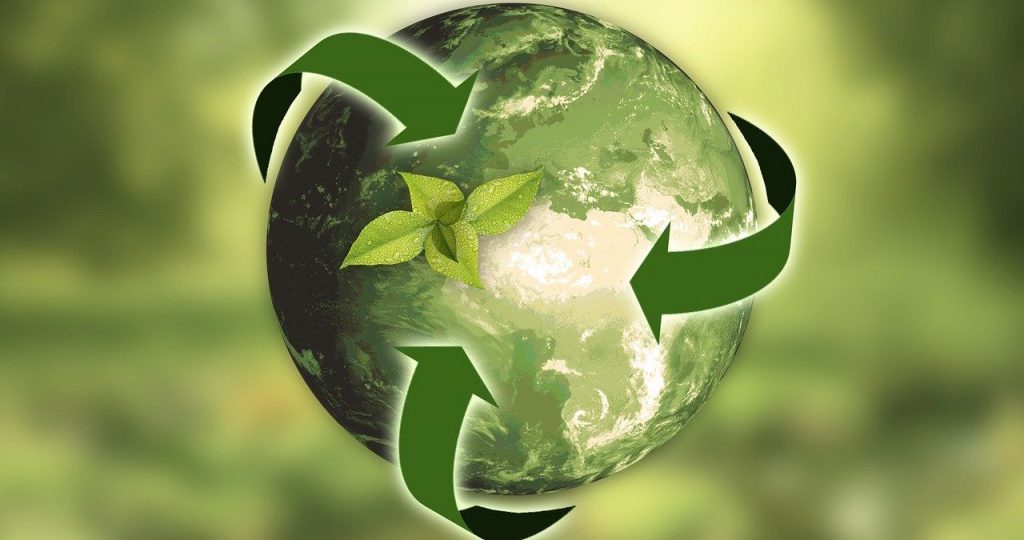 Wyniki konkursu ,,Szanuję planetę Ziemię”