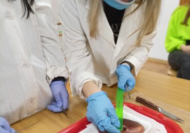Warsztaty anatomiczne
