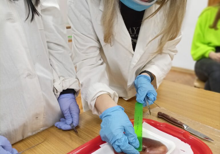 Warsztaty anatomiczne