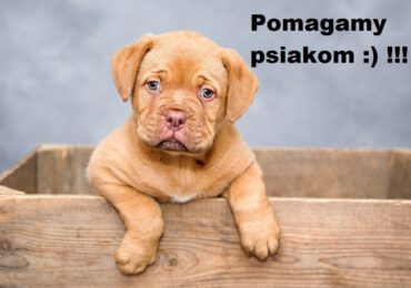Pomagamy psiakom :)