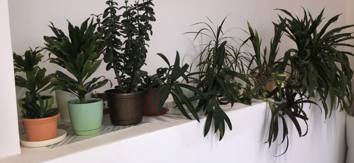 Akcja ukwiecenia pracowni chemicznej