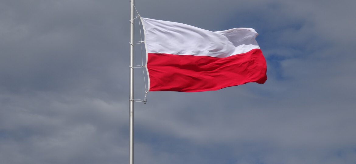 Święto Niepodległości w Stalowej Woli w filmie