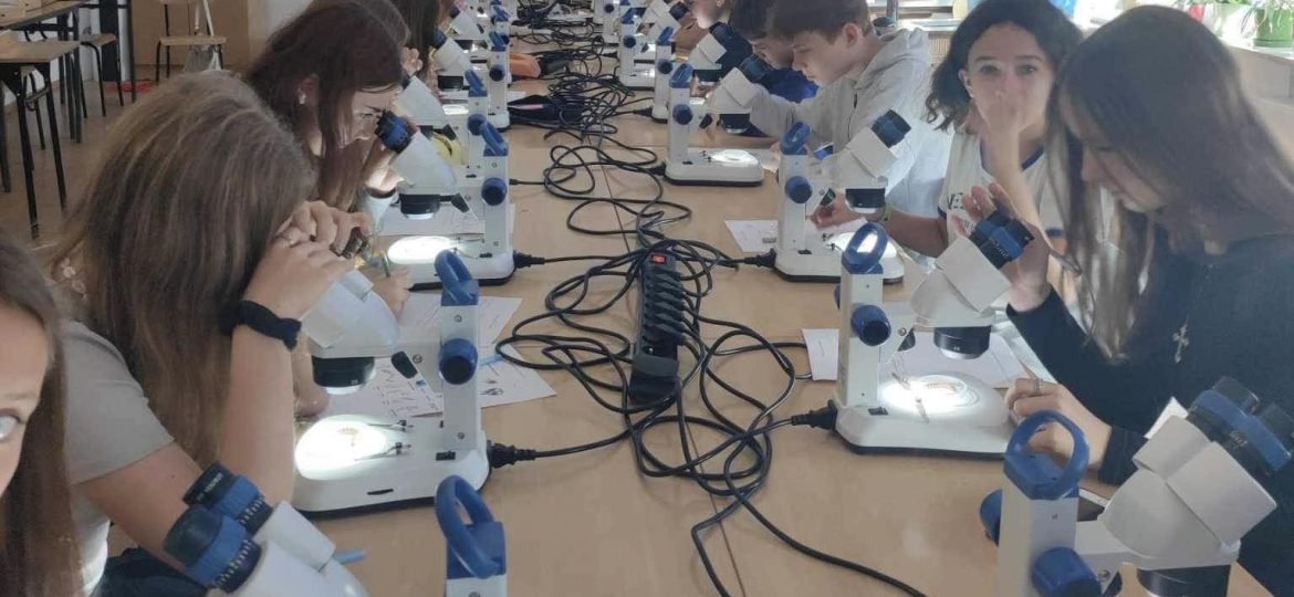 Warsztaty biologiczne o owadach