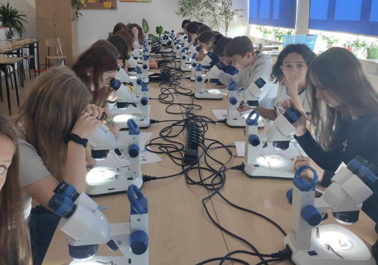 Warsztaty biologiczne o owadach
