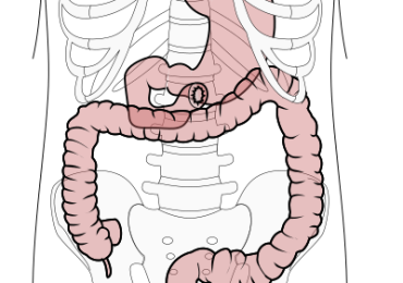 Szkolny konkurs biologiczny