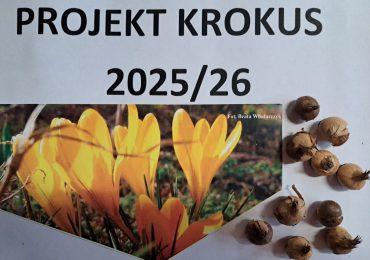 Projekt "Krokus"